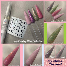 Load image into Gallery viewer, 90s Country Mini Collection