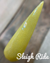 Load image into Gallery viewer, Sleigh Ride