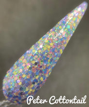 Load image into Gallery viewer, Peter Cottontail