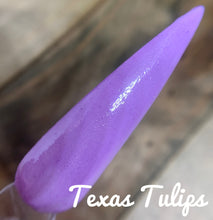 Load image into Gallery viewer, Texas Tulips