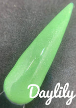 Load image into Gallery viewer, Daylily