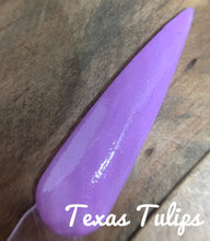 Load image into Gallery viewer, Texas Tulips