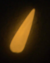 Load image into Gallery viewer, Chicks Dig It