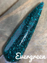 Load image into Gallery viewer, Evergreen