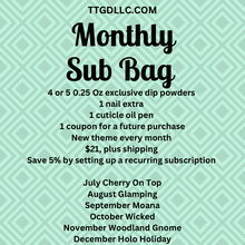 Load image into Gallery viewer, Monthly Sub Bag
